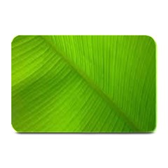 Banana Leaf Plate Mats