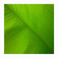 Banana Leaf Medium Glasses Cloth by artworkshop