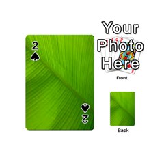 Banana Leaf Playing Cards 54 Designs (mini) by artworkshop