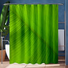 Banana Leaf Shower Curtain 60  X 72  (medium)  by artworkshop