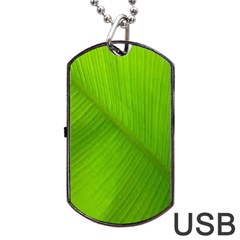 Banana Leaf Dog Tag Usb Flash (one Side) by artworkshop