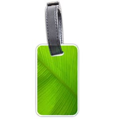 Banana Leaf Luggage Tag (one Side) by artworkshop