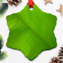 Banana Leaf Ornament (snowflake) by artworkshop