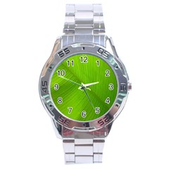 Banana Leaf Stainless Steel Analogue Watch by artworkshop