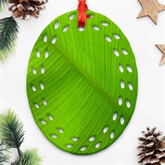 Banana Leaf Oval Filigree Ornament (two Sides) by artworkshop