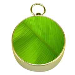 Banana Leaf Gold Compasses by artworkshop