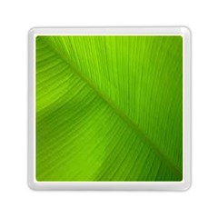 Banana Leaf Memory Card Reader (square) by artworkshop