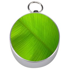 Banana Leaf Silver Compasses by artworkshop