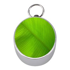 Banana Leaf Mini Silver Compasses