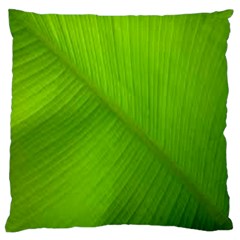 Banana Leaf Standard Flano Cushion Case (one Side)