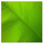 Banana Leaf Square Satin Scarf (36  x 36 ) Front