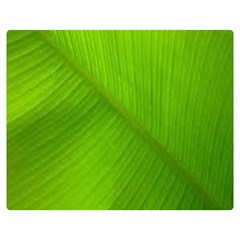 Banana Leaf Double Sided Flano Blanket (medium)  by artworkshop