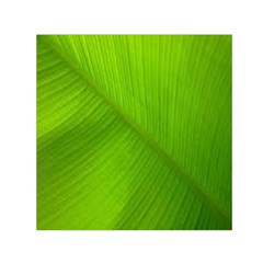 Banana Leaf Square Satin Scarf (30  X 30 ) by artworkshop