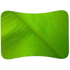 Banana Leaf Velour Seat Head Rest Cushion by artworkshop