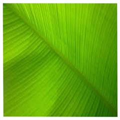 Banana Leaf Wooden Puzzle Square by artworkshop