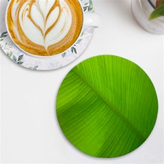 Banana Leaf Uv Print Round Tile Coaster