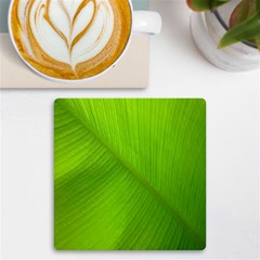 Banana Leaf Uv Print Square Tile Coaster 