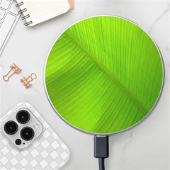 Banana Leaf Wireless Charger by artworkshop