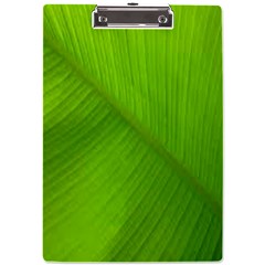 Banana Leaf A4 Clipboard by artworkshop