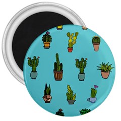 Succulents Teal Back 3  Magnets by Jancukart