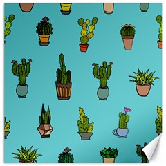 Succulents Teal Back Canvas 16  X 16  by Jancukart