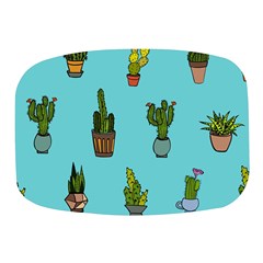 Succulents Teal Back Mini Square Pill Box by Jancukart