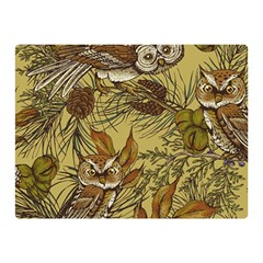 Forest-vintage-seamless-background-with-owls Double Sided Flano Blanket (mini) 