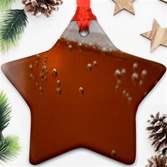 Bubble Beer Ornament (star)