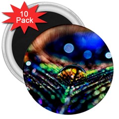 Peacock Feather Drop 3  Magnets (10 Pack)  by artworkshop