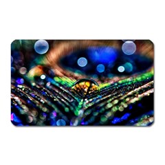 Peacock Feather Drop Magnet (rectangular) by artworkshop