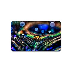 Peacock Feather Drop Magnet (name Card) by artworkshop