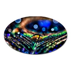 Peacock Feather Drop Oval Magnet by artworkshop