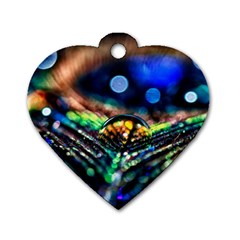 Peacock Feather Drop Dog Tag Heart (two Sides)