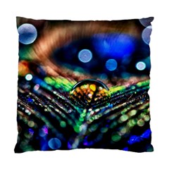 Peacock Feather Drop Standard Cushion Case (one Side) by artworkshop