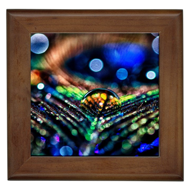 Peacock Feather Drop Framed Tile