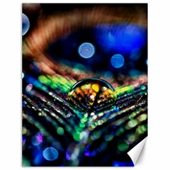 Peacock Feather Drop Canvas 18  X 24  by artworkshop