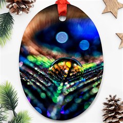 Peacock Feather Drop Oval Ornament (two Sides) by artworkshop