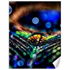 Peacock Feather Drop Canvas 12  X 16  by artworkshop