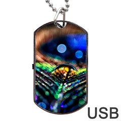 Peacock Feather Drop Dog Tag Usb Flash (one Side) by artworkshop