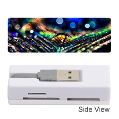 Peacock Feather Drop Memory Card Reader (stick)