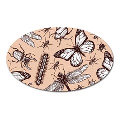 Vintage-drawn-insect-seamless-pattern Oval Magnet