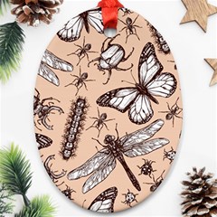 Vintage-drawn-insect-seamless-pattern Oval Ornament (two Sides)