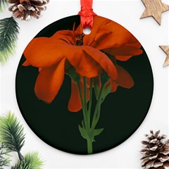 Red Geranium Over Black Background Ornament (round) by dflcprintsclothing