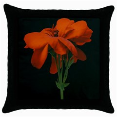 Red Geranium Over Black Background Throw Pillow Case (black)