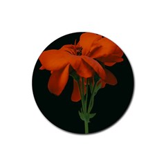 Red Geranium Over Black Background Rubber Coaster (round) by dflcprintsclothing