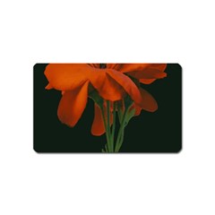 Red Geranium Over Black Background Magnet (name Card) by dflcprintsclothing