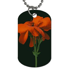 Red Geranium Over Black Background Dog Tag (two Sides) by dflcprintsclothing