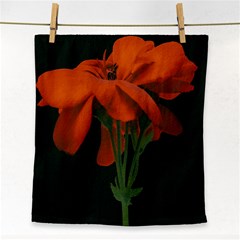 Red Geranium Over Black Background Face Towel by dflcprintsclothing