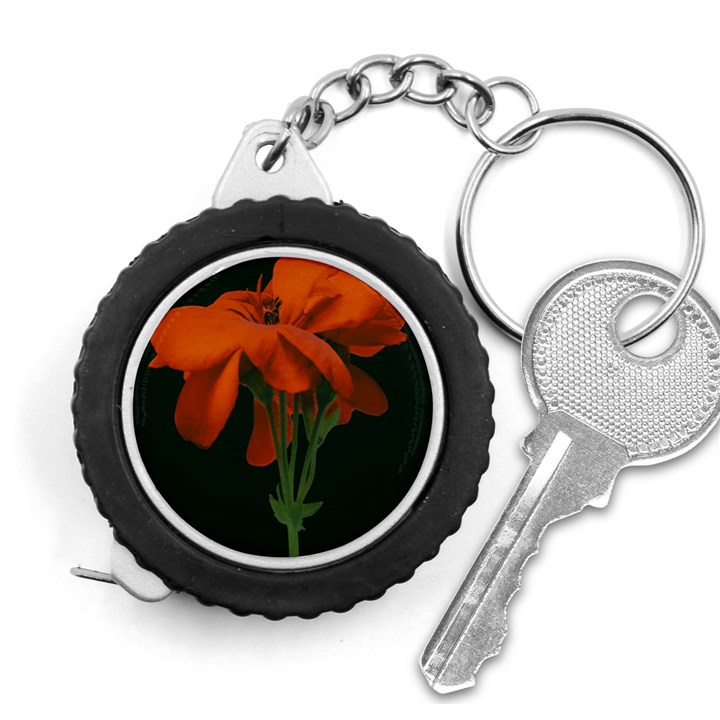 Red Geranium Over Black Background Measuring Tape