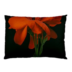 Red Geranium Over Black Background Pillow Case (two Sides) by dflcprintsclothing